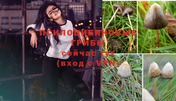 альфа пвп Верхний Тагил