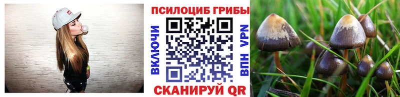 Псилоцибиновые грибы ЛСД  shop наркотические препараты  Ногинск 